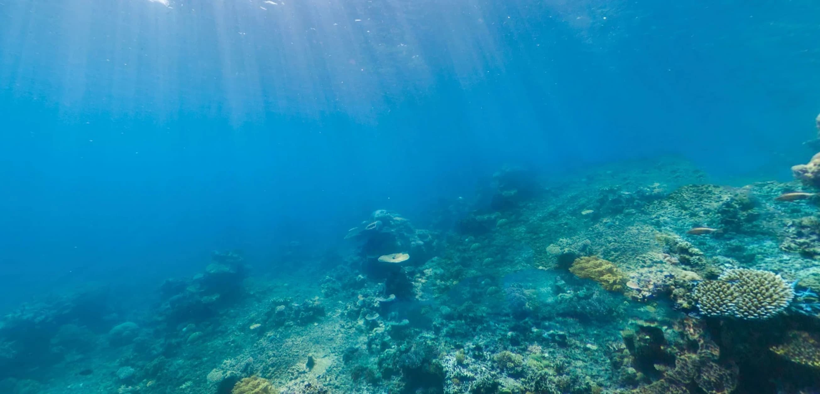 Oceania