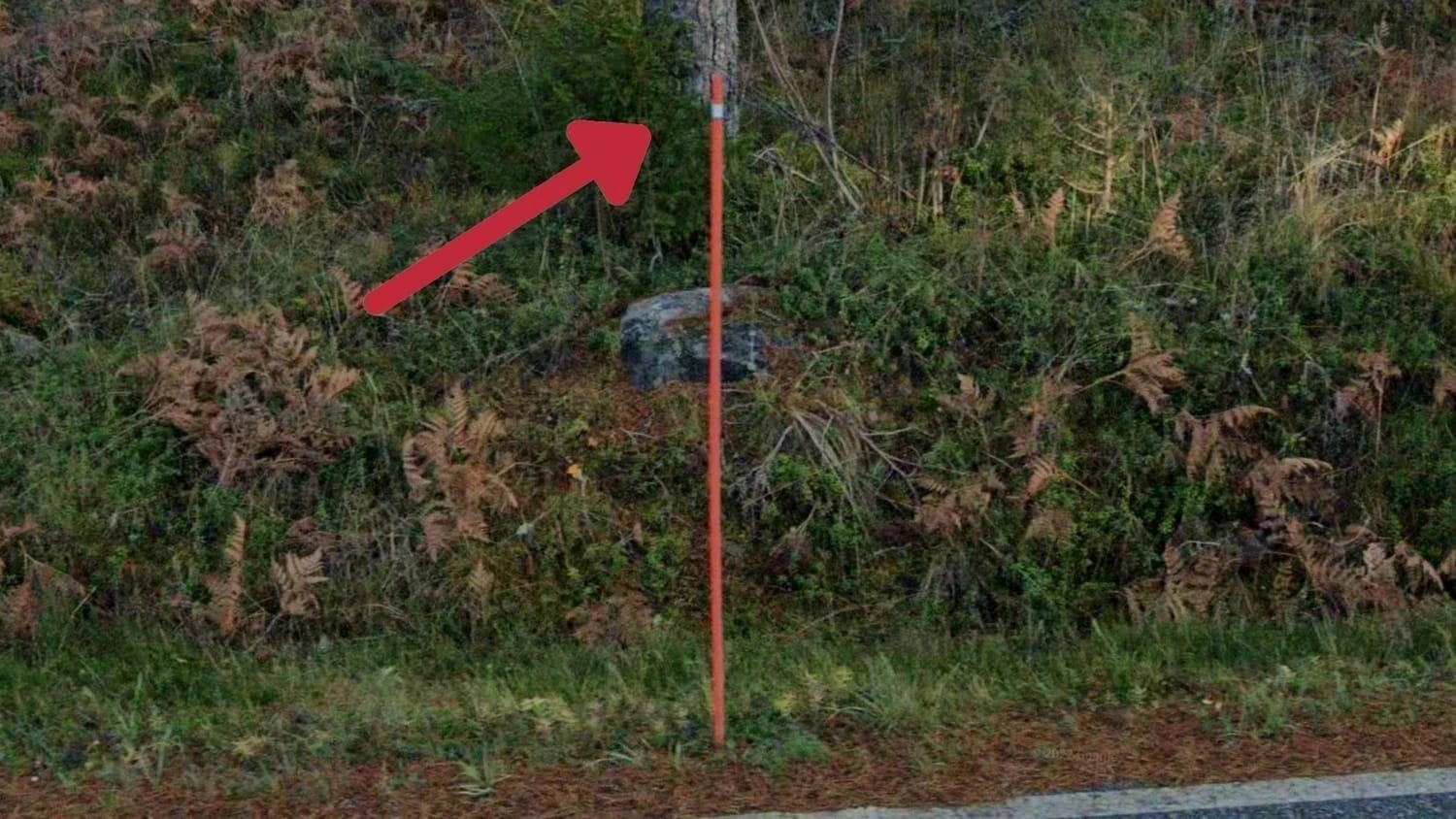 Snow/Gas Pole
