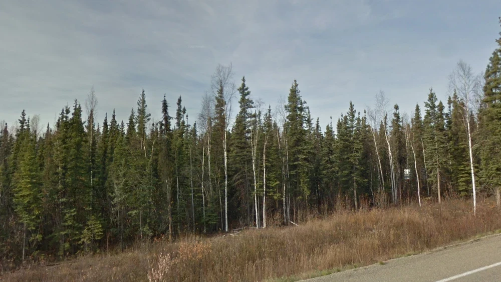 alaska-common-plant-1-placeholder