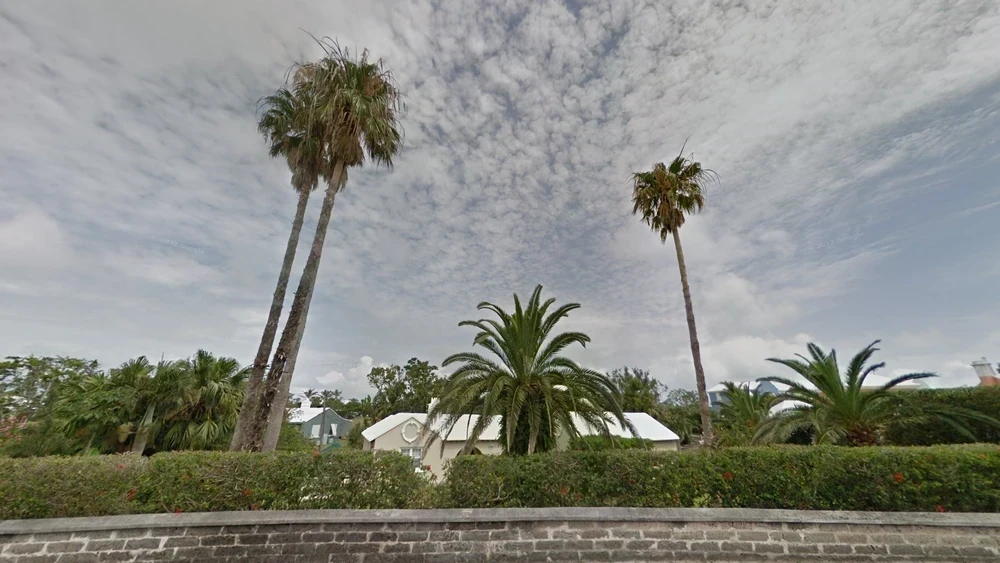 bermuda-common-plant-1-placeholder