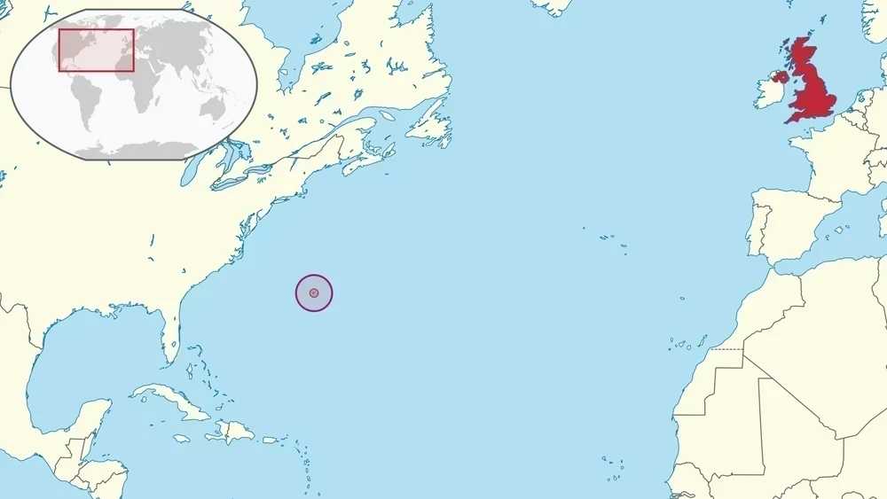 bermuda-position-1-placeholder