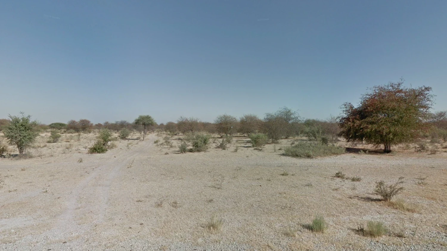botswana-landscape-1-placeholder