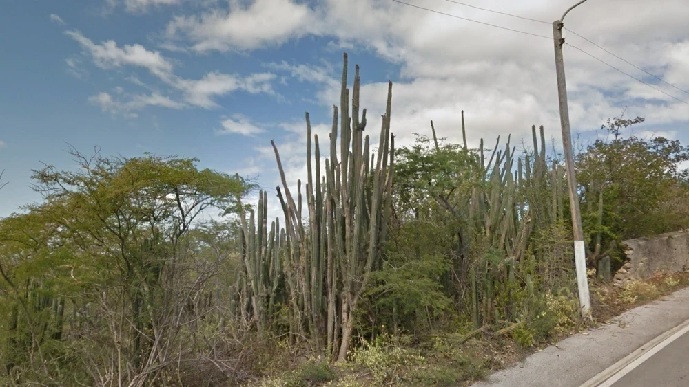 curacao-landscape-1-placeholder