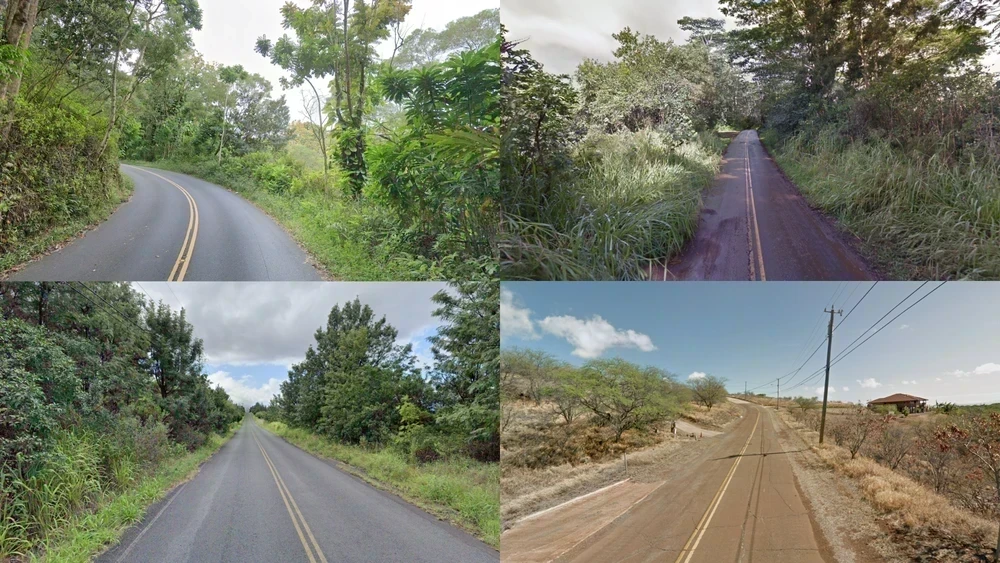 hawaii-common-plant-1-placeholder