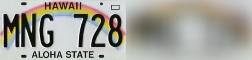 hawaii-license-plate-1-placeholder