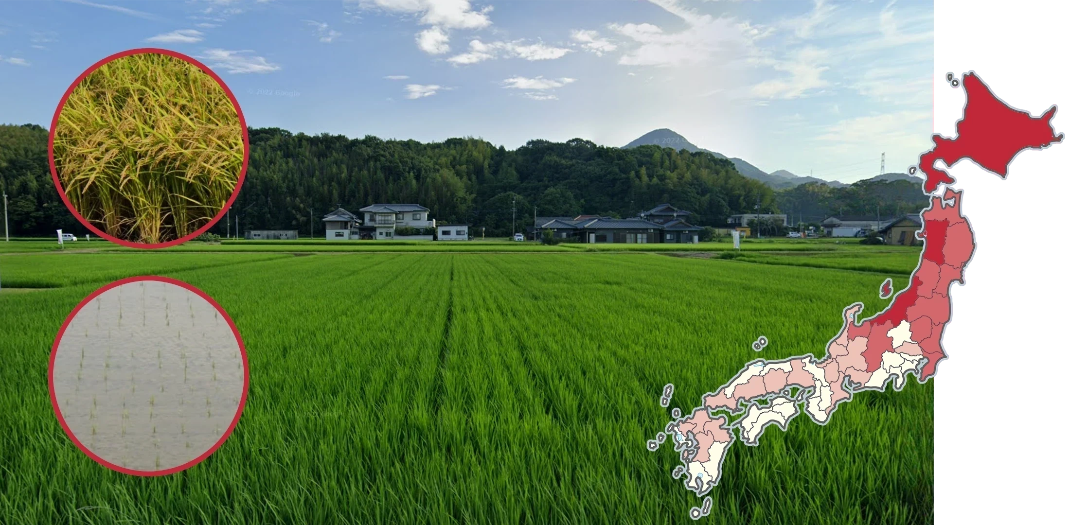 japan-landscape-1-placeholder