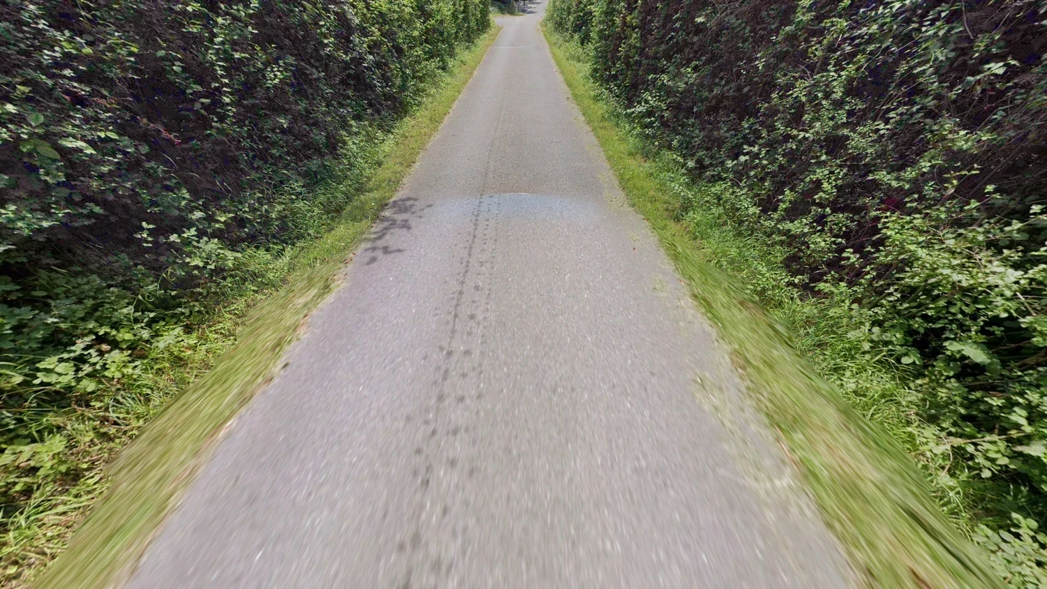 liechtenstein-google-car-1-placeholder