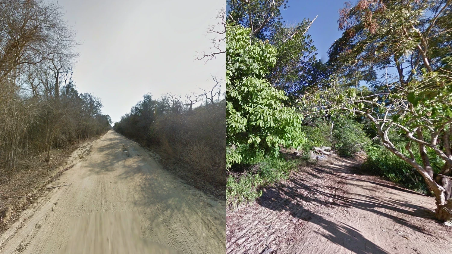 madagascar-landscape-1-placeholder