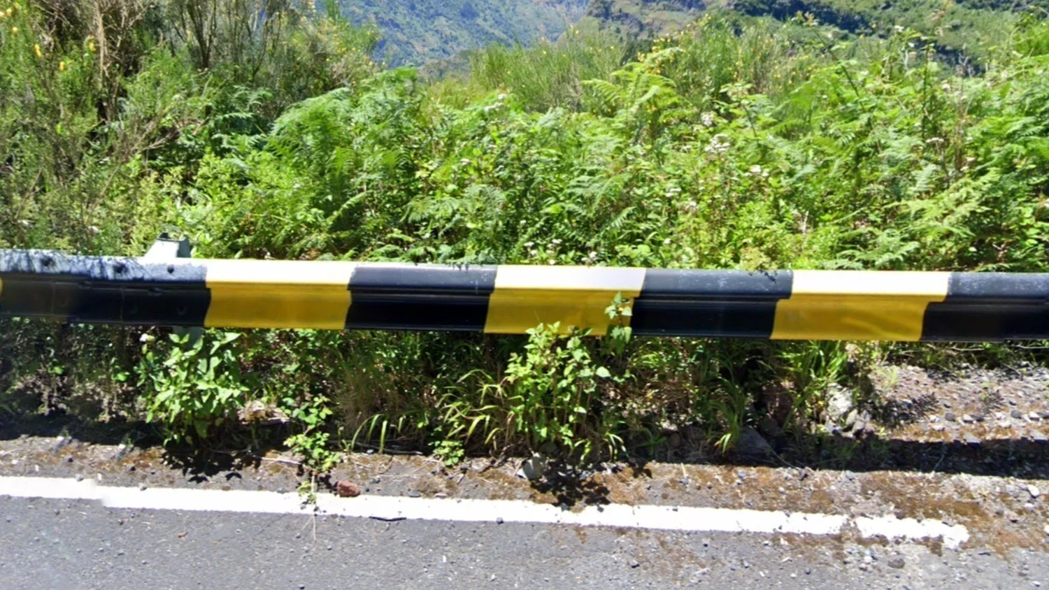madeira-guard-rails-1-placeholder