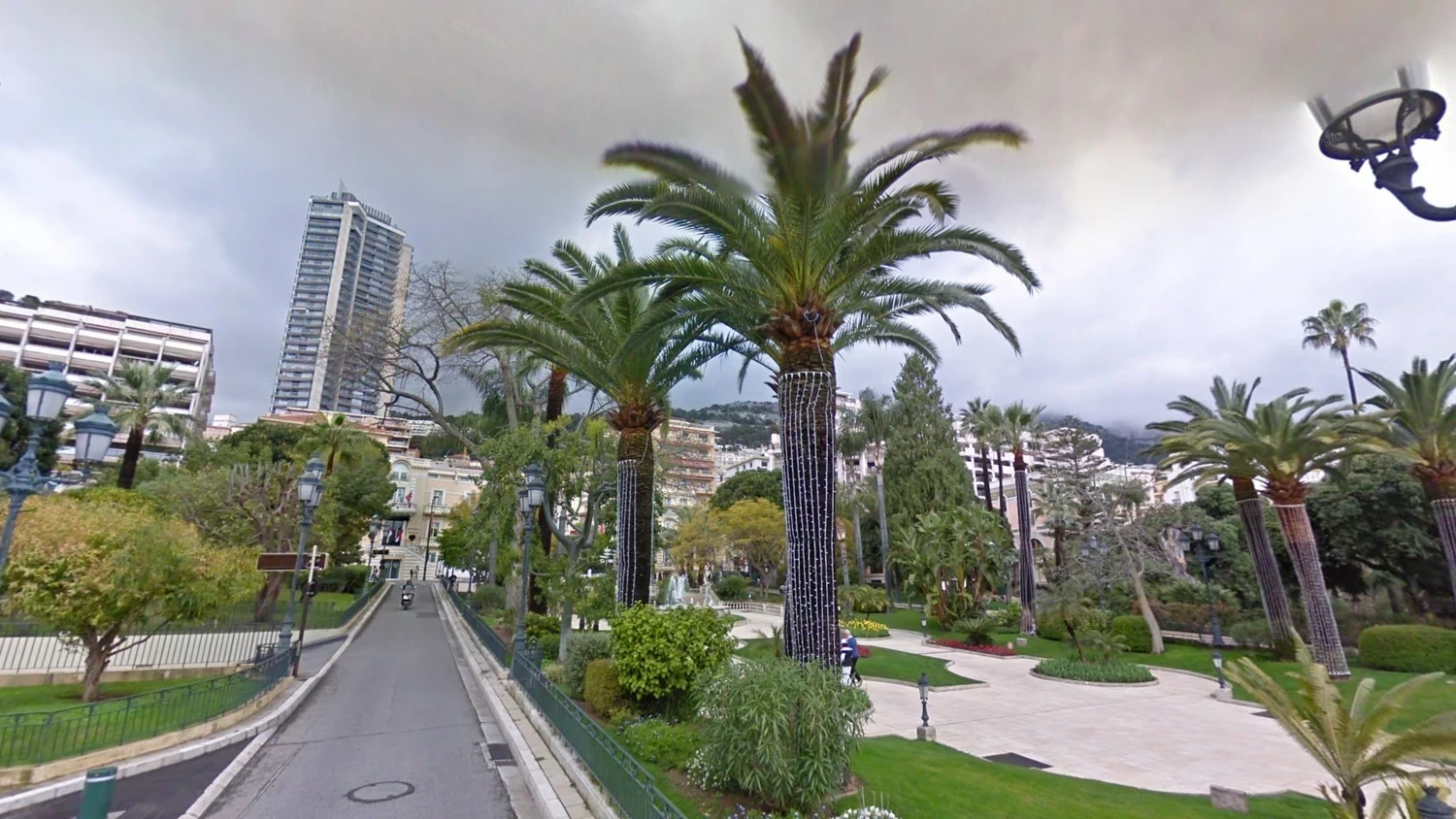 monaco-common-plant-1-placeholder