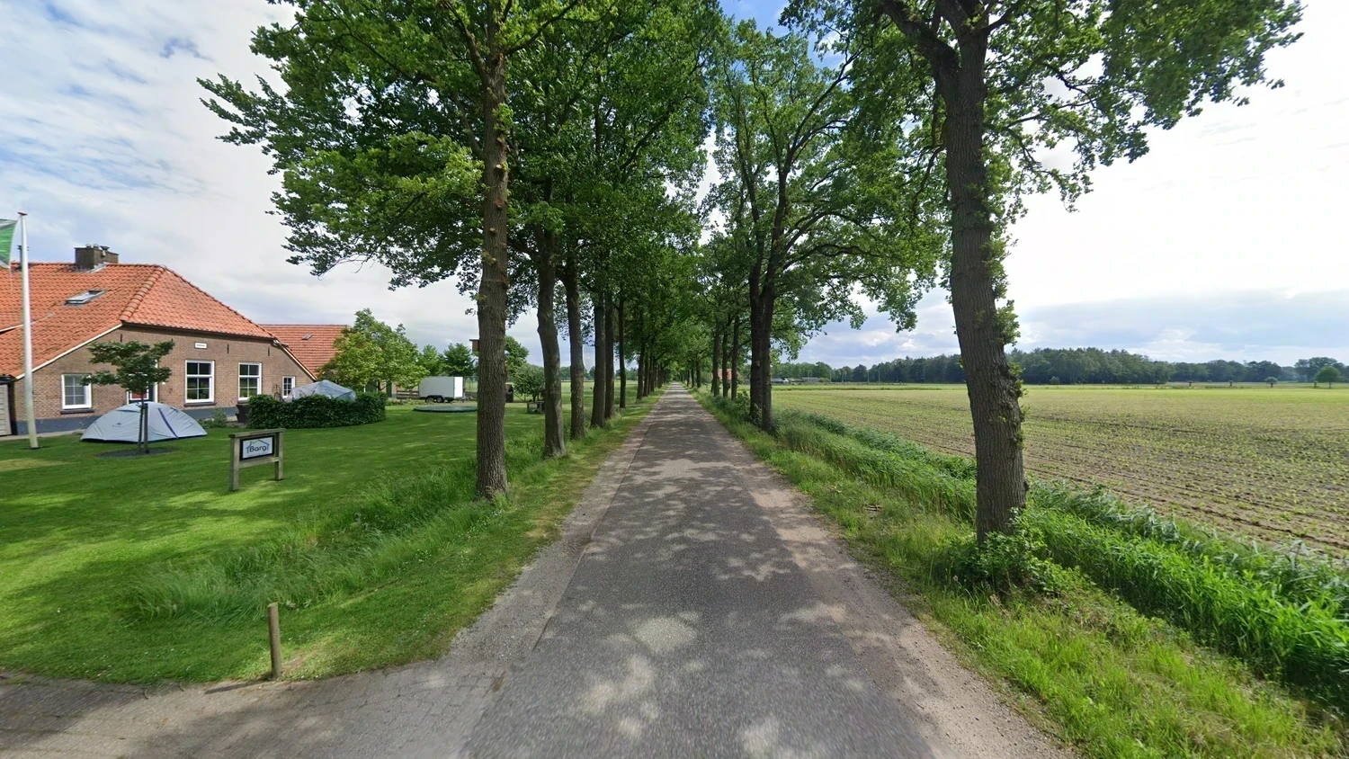 netherlands-common-plant-1-placeholder