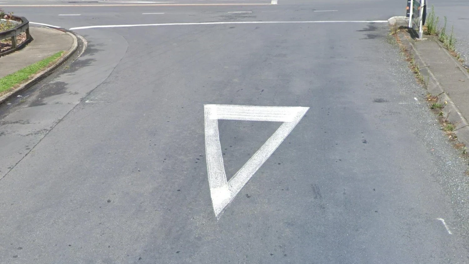 new-zealand-common-1-placeholder