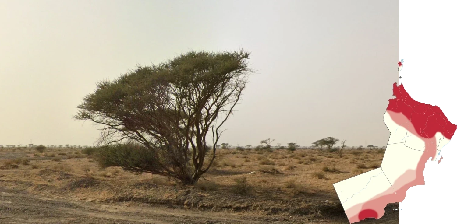 oman-common-plant-1-placeholder