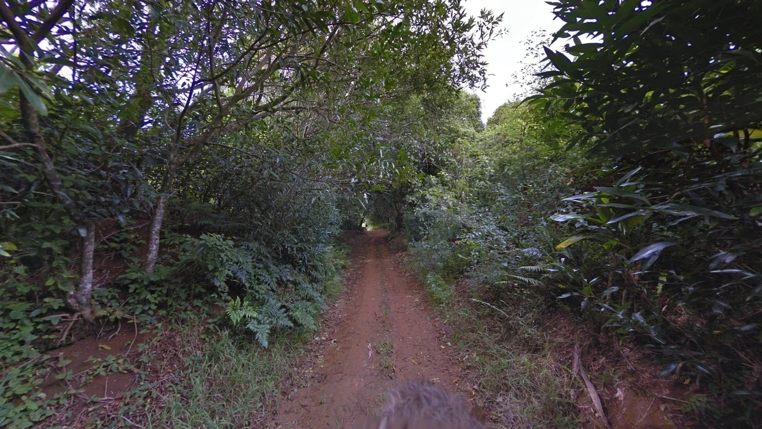 pitcairn-islands-landscape-1-placeholder