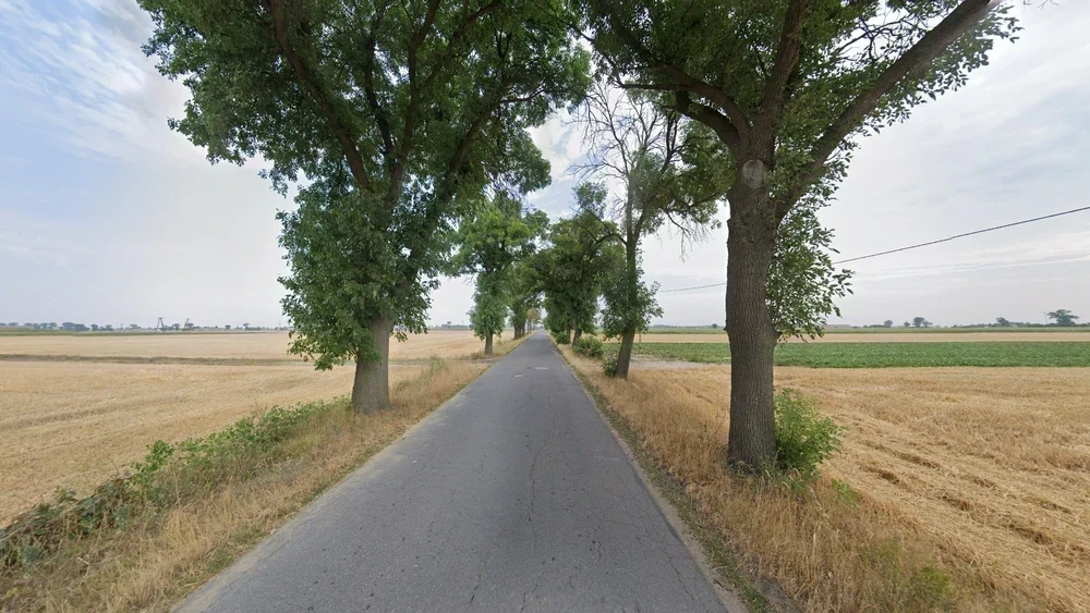 poland-common-plant-1-placeholder