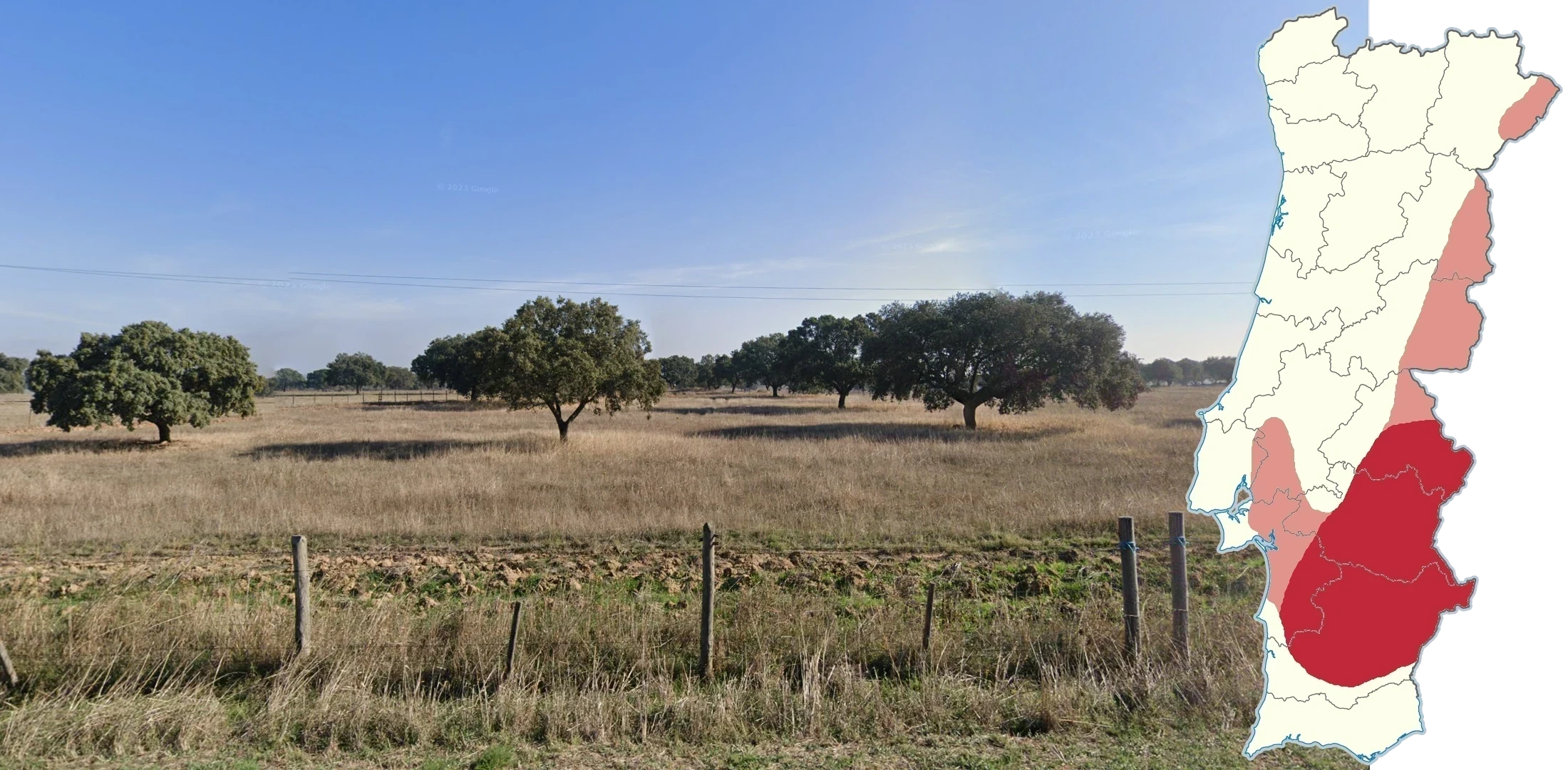portugal-landscape-1-placeholder