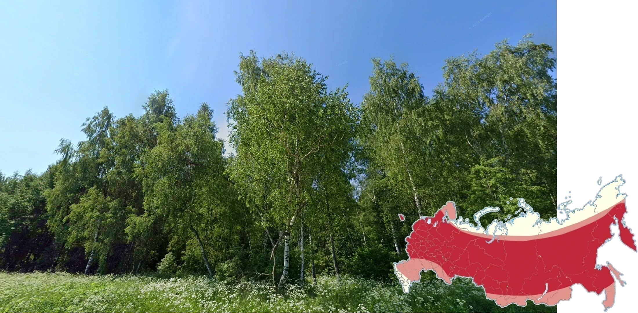 russia-landscape-1-placeholder