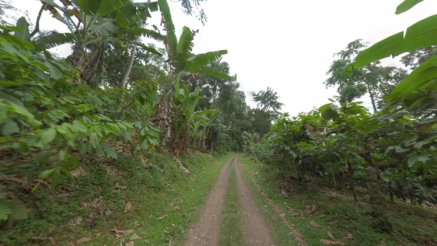 sao-tome-and-principe-landscape-1-placeholder