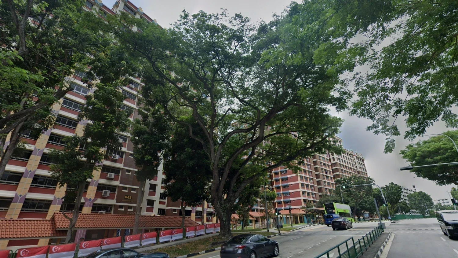 singapore-common-plant-1-placeholder