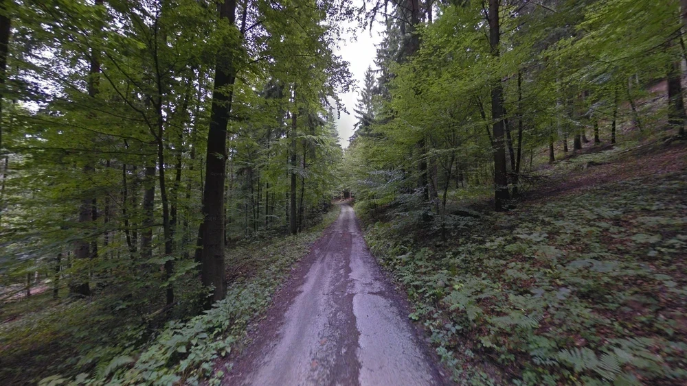 slovenia-common-plant-1-placeholder