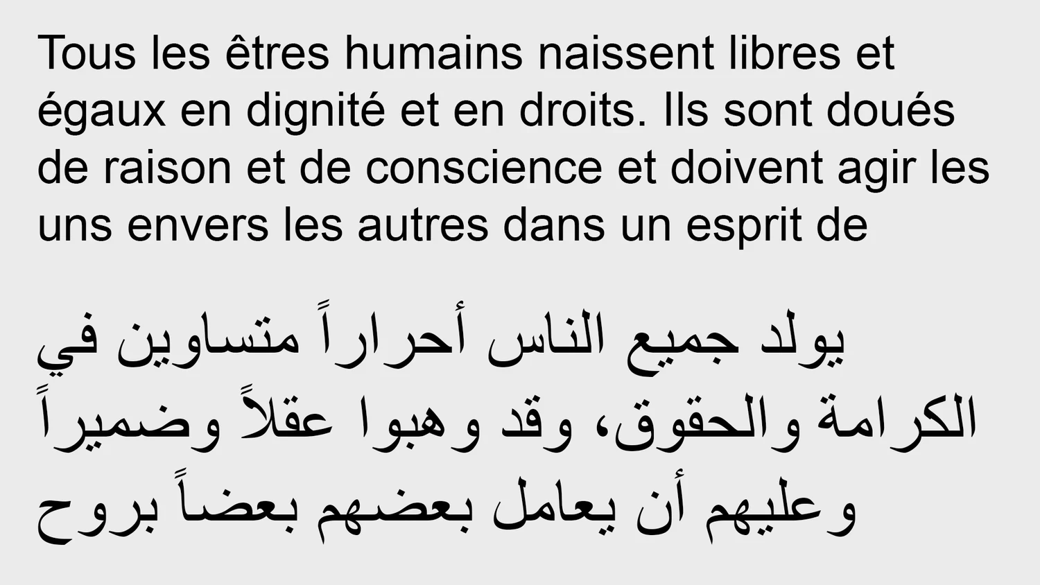 tunisia-language-1-placeholder