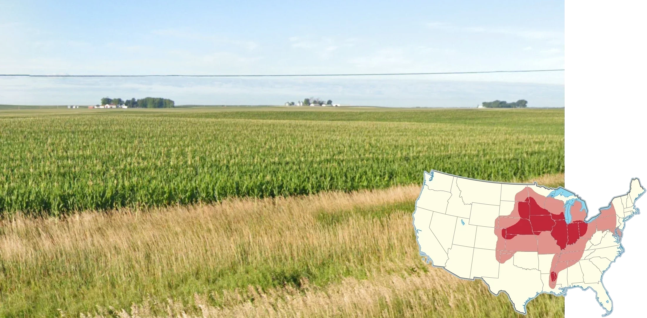 united-states-landscape-1-placeholder