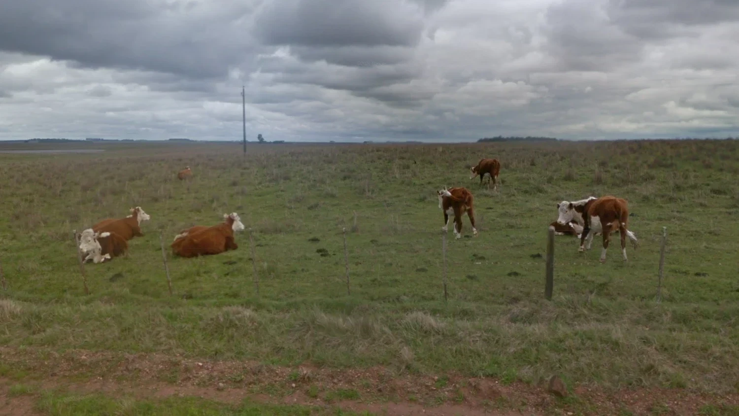 uruguay-common-1-placeholder