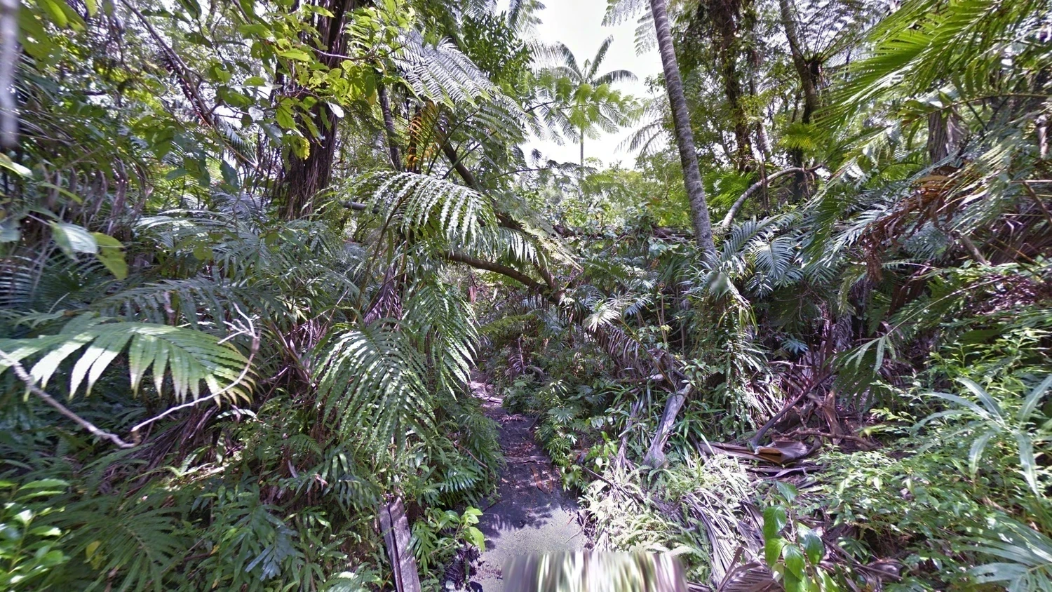 vanuatu-landscape-1-placeholder